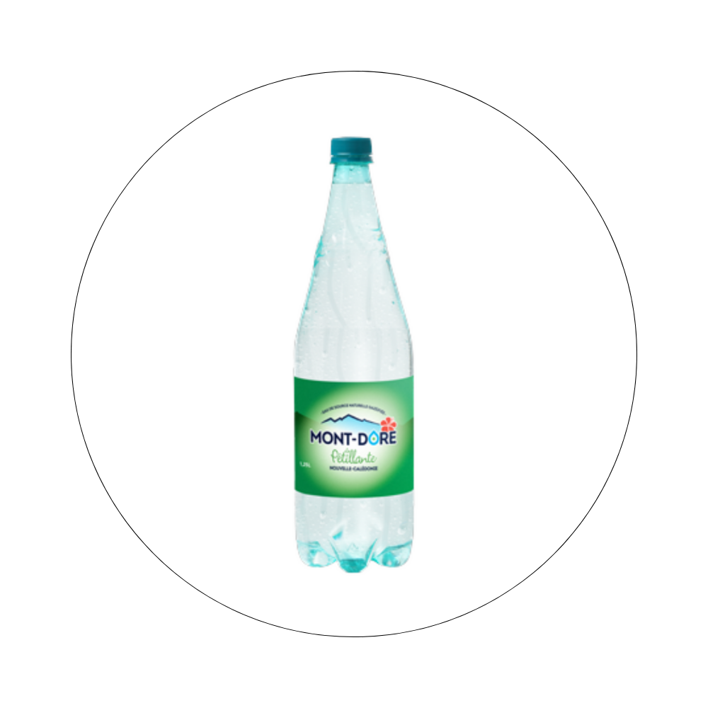 MONT DORE - Eau Pétillante 1,25L