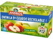 ANDROS - POMPOTES GOURDES x12