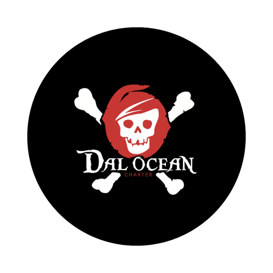 Dal Océan Charter - Excursion Baleine