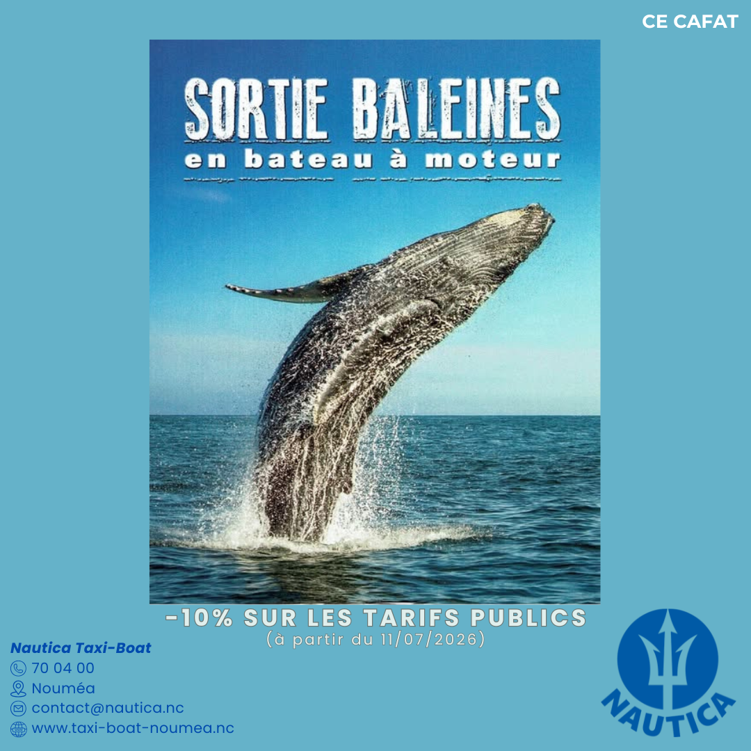 Nautica - Excursion Baleine