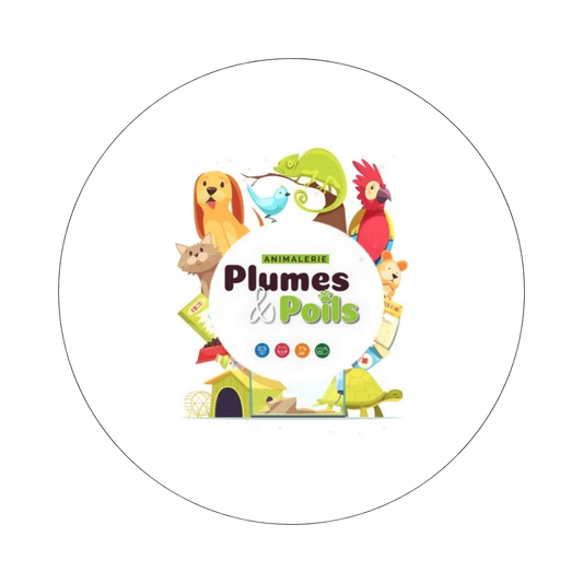 Plumes et Poils
