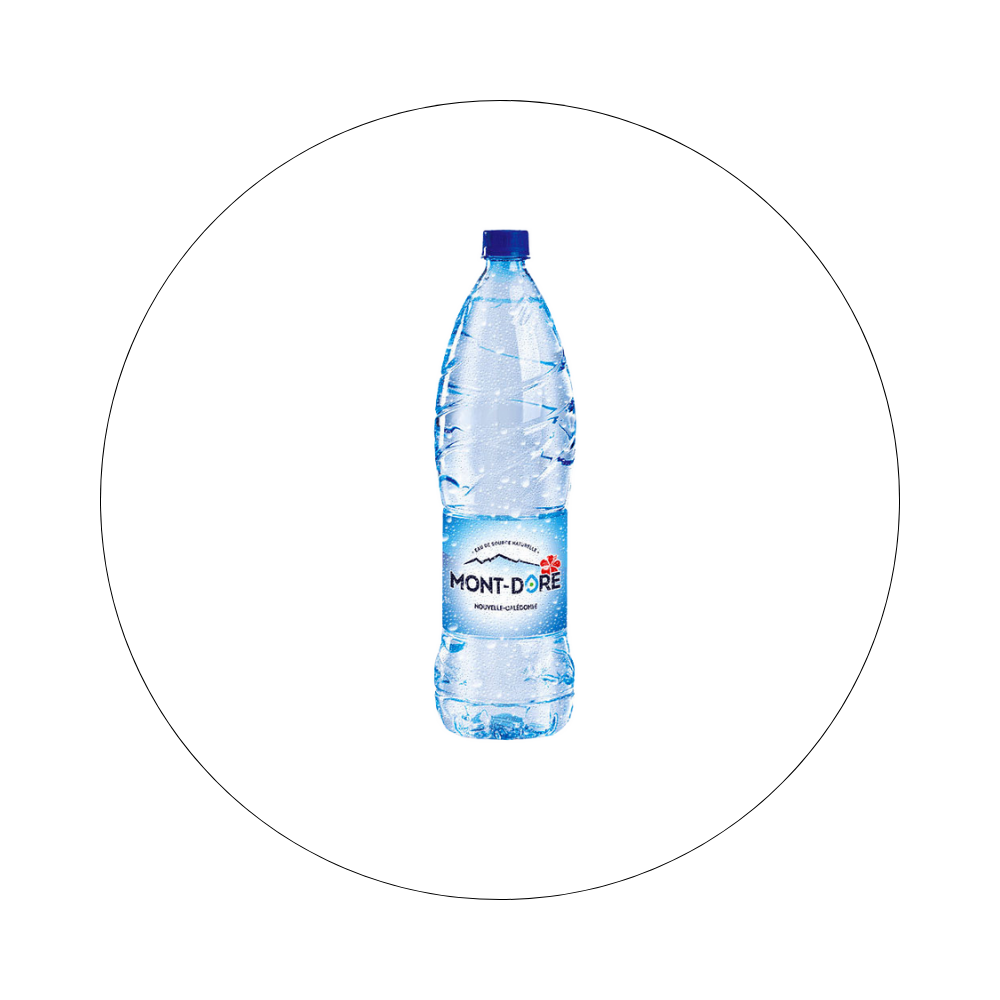 MONT DORE - Eau 1,5L