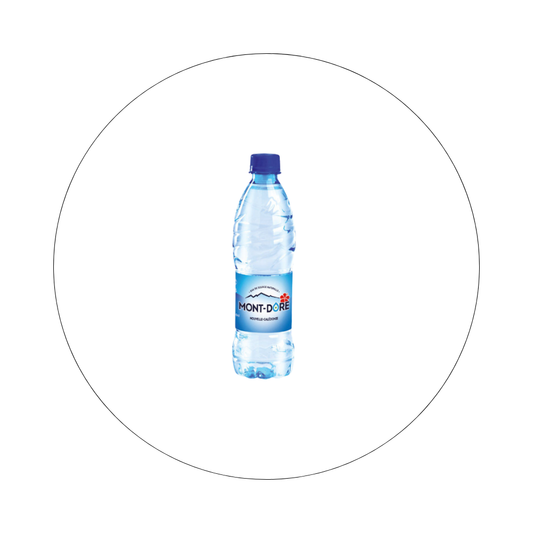 MONT DORE - Eau 50 cl