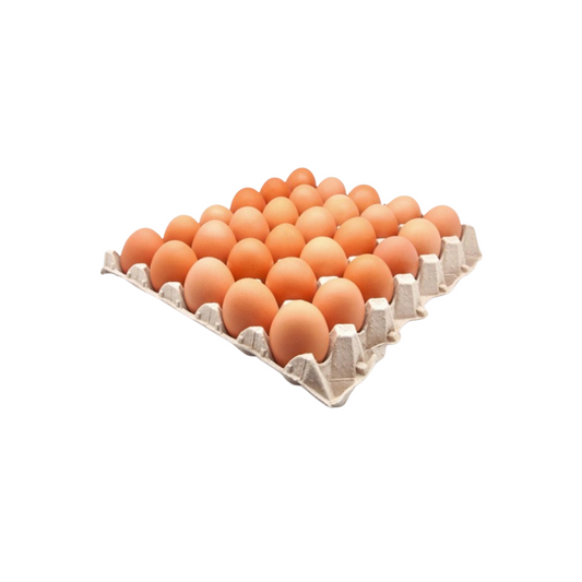 PADDOCK CREEK - Oeufs frais